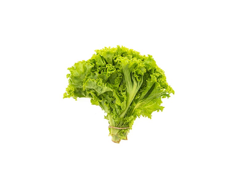 grocery2-shop-pic2 Lettuce 500g - Imagen 1